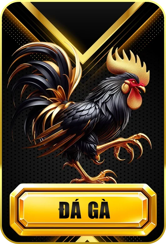 icon đá gà